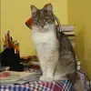 Отзыв от Кира Лаптева